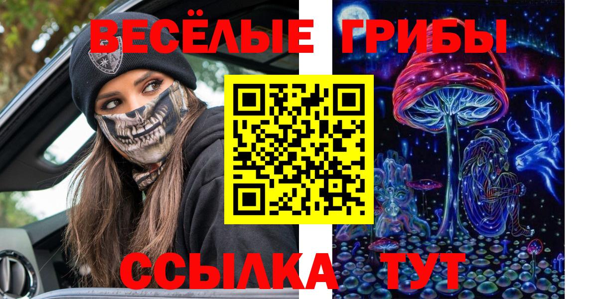 Ленинск-Кузнецкий  Псилоцибиновые грибы Psilocybe  Вход с VPN 