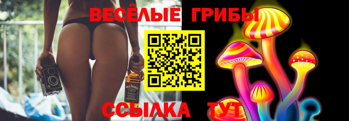 Галлюциногенные грибы мицелий Ленинск-Кузнецкий