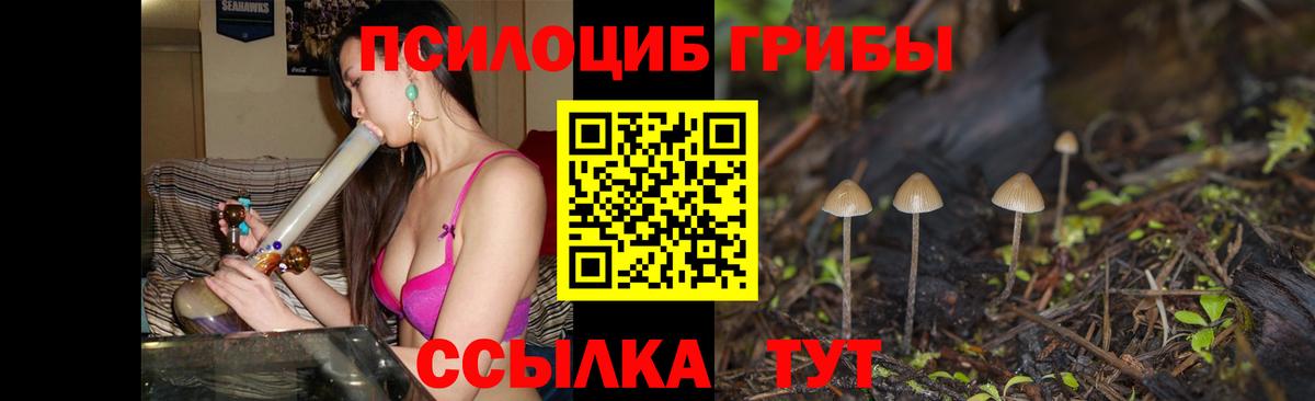 Codein Ленинск-Кузнецкий